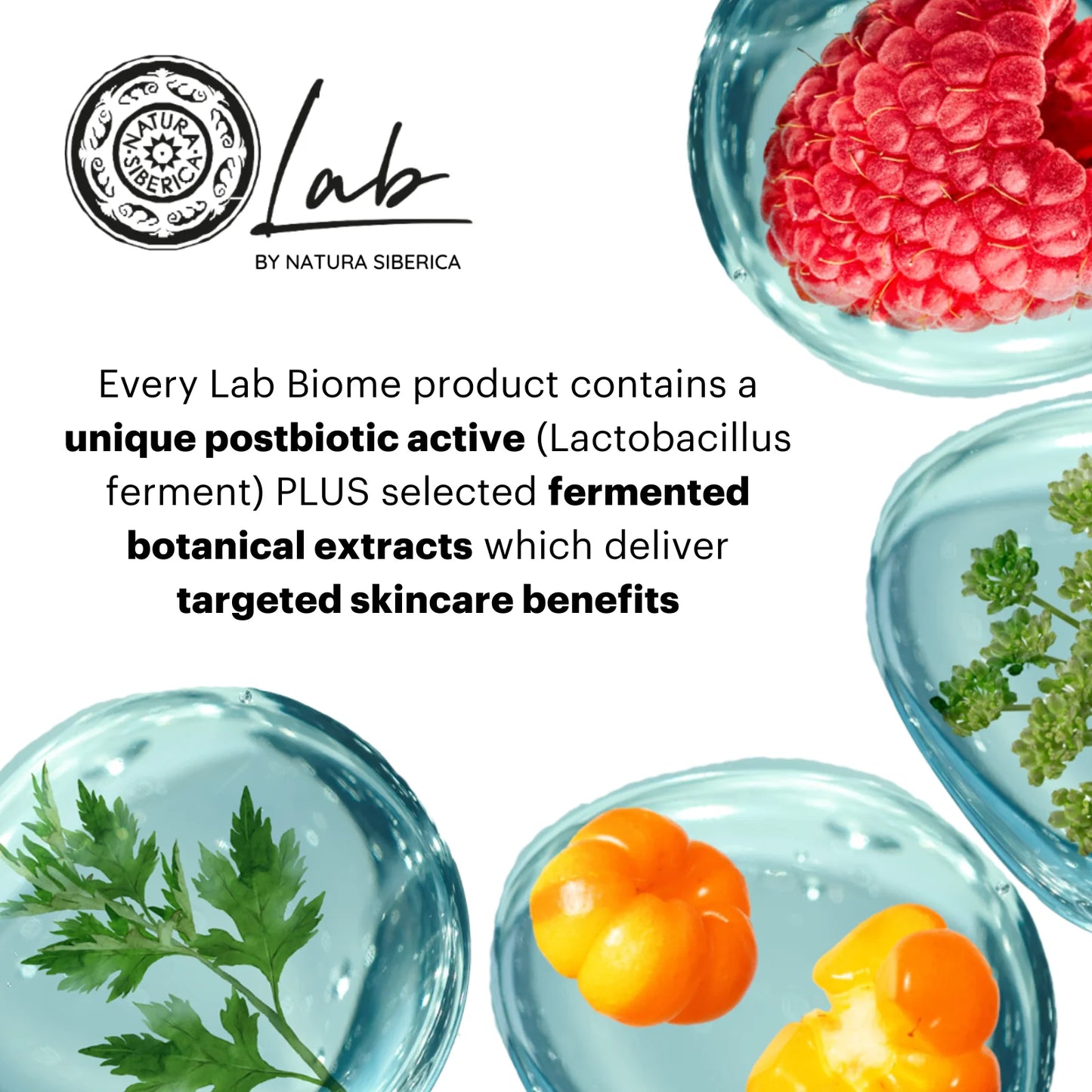 لاب بيوم-  غسول مرطب بالهيالورنيك أسيد Lab Biome - Hydration Purifying Face Cleansing Foam, 200 ml